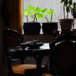 table small dining